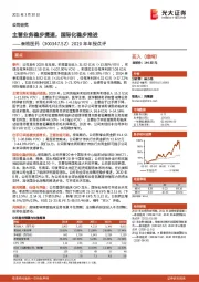 2020年年报点评:主营业务稳步提速,国际化稳步推进