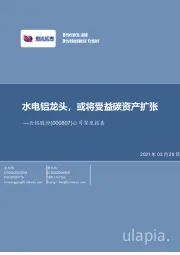 公司深度报告：水电铝龙头，或将受益碳资产扩张