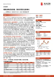 2020年年报点评：领鲜战略成效显著，营收利润双位数增长