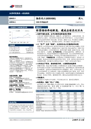 2020年年报点评:经营指标再创新高,建成全球农化巨头