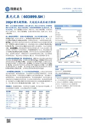 20Q4增长超预期，文创龙头成长动力强劲