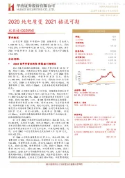 2020纯电质变 2021插混可期