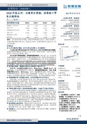 2020年报点评：业绩符合预期，供需缺口带来业绩弹性