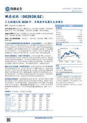 汇兑短期压制2020年，多维度布局奠定未来增长