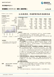 Q4表现亮丽，终端营销网络布局逐渐完善
