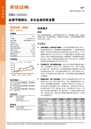 业绩平稳增长，多元业务持续发展