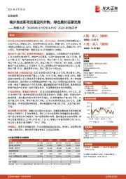 2020年报点评:稳步推进新项目建设和并购,绿色建材低碳发展