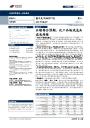 2020年年报点评：业绩符合预期，化工品物流龙头