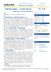 2020年年度报告点评：销售回款大幅增长，产品谱系不断丰富