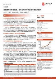 2020年报点评:业绩高增长符合预期,国内与海外市场仍有广阔成长空间
