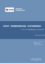 首次覆盖报告：宏达电子：狼性基因孕育强大动能，多点开花铸就高成长