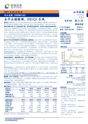 全年业绩稳增，2021Q1乐观