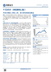 年报业绩落入预告上限，国内营收维持高增速