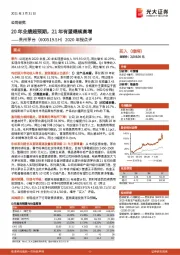 2020年报点评：20年业绩超预期，21年有望继续高增