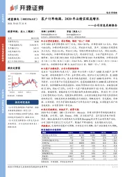 公司信息更新报告：客户订单饱满，2020年业绩实现高增长