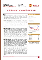 2020年年报点评：业绩符合预期，股权激励为高成长护航