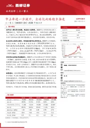 2020年报点评：市占率进一步提升，全球化战略稳步推进