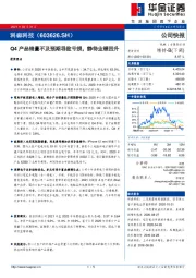 Q4产品销量不及预期导致亏损，静待业绩回升