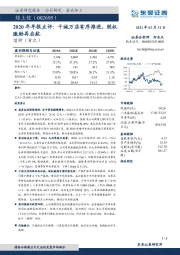 2020年年报点评:千城万店有序推进,股权激励再启航