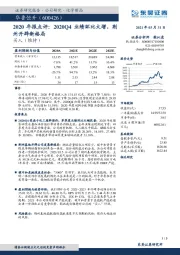 2020年报点评:2020Q4业绩环比大增,荆州开辟新格局