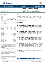 2020年年报点评:产销两旺,新线投产高增长可期