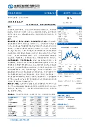 2020年年报点评：SiP业务助力成长，法国飞旭协同效应体现