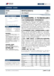 2020年年报点评：20年业绩略超预期，21年有望继续快速增长