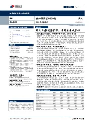 2020年年报点评：两大业务逆势扩张，看好未来成长性