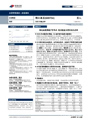 2020年报点评:维也纳超预期卢浮承压 展店提速与费用优化并举