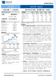 国内外齐头并进，盈利能力进一步提升