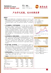 产品多元发展，龙头优势显著