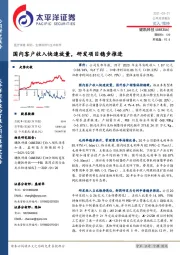 国内客户收入快速放量，研发项目稳步推进