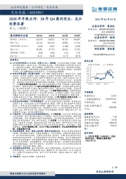 2020年年报点评：20年Q4盈利突出，龙头优势显著