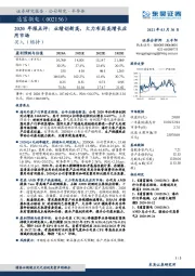 2020年报点评：业绩创新高，大力布局高增长应用市场