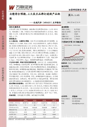 点评报告：业绩符合预期，三大技术品牌打造强产品矩阵