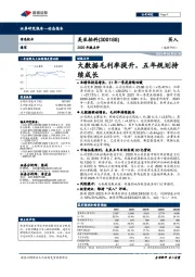 2020年报点评：大数据毛利率提升，五年规划持续成长