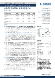 2020年年报点评：业绩符合市场预期，新车型周期开启