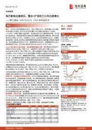 2020年年报点评：海外影响业绩承压，整合+扩张助力公司长期增长