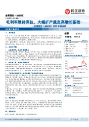 2020年报点评:毛利率维持高位,大幅扩产奠定高增长基础