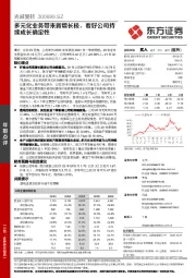 多元化业务带来新增长极，看好公司持续成长确定性