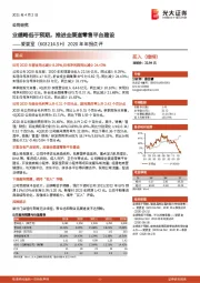 2020年年报点评：业绩略低于预期，推进全渠道零售平台建设