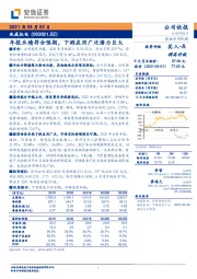 年报业绩符合预期，下游应用广泛潜力巨大