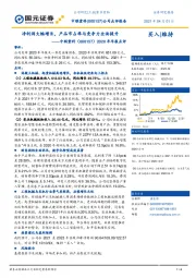 2020年年报点评：净利润大幅增长，产品市占率与竞争力全面提升