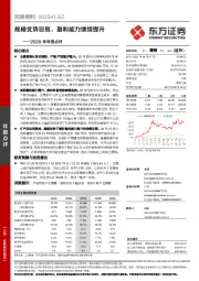 2020年年报点评：规模优势显现，盈利能力继续提升