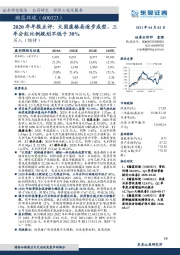 2020年年报点评：大固废格局逐步成型，三年分红比例规划不低于30%