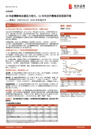 2020年年报点评:20年疫情影响业绩压力较大,21年关注外需复苏和贸易环境