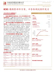 MEMS精微零部件专家，半导体测试探针发力