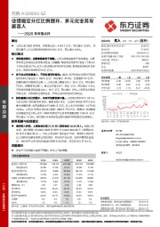 2020年年报点评:业绩稳定分红比例提升,多元化业务发展喜人