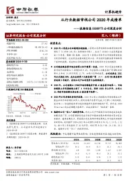 公司深度分析：从行业数据审视公司2020年成绩单