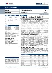 2020年年报点评:内增外拓,积极开展资源并购